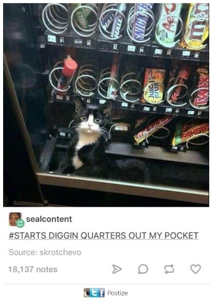 WholesomeMeme's tweet photo. https://t.co/xTNaZDJfWR