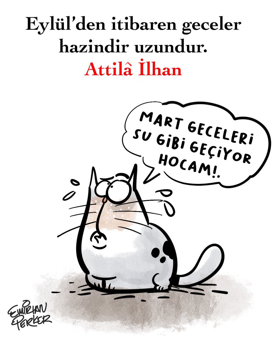 #atillailhan #atillailhansiirleri #illustration #karikatür #mizah #şiir #güzelsözler #drawing #kedi #pet #cat #mizahtürkiye