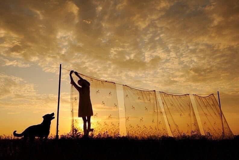 Esta fotografía es un poema.

📷 Sebastian Luczywo