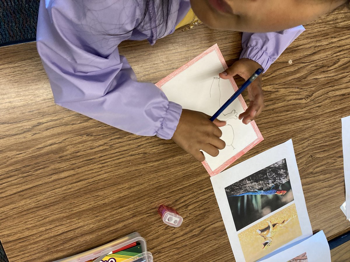 Herdman46's tweet photo. Back at it! Third grade lizard study in art! #gettinit https://t.co/ukiC6nFfpJ