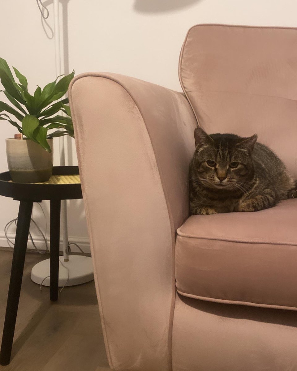 S Wilson tweet media