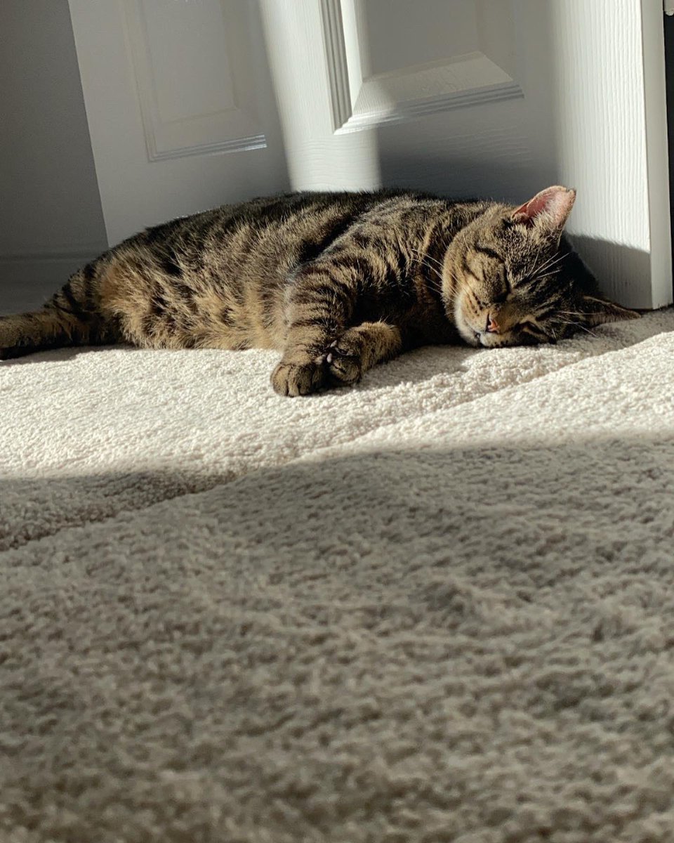 S Wilson tweet media