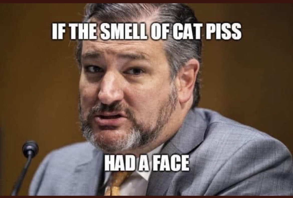 LisaTheGSD's tweet photo. @tedcruz https://t.co/Mm0imyPnpV