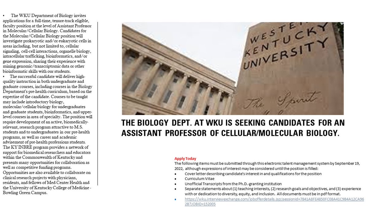 We're #HIRING a new faculty member in the #biology dept. at #WKU for an Assistant Professor of Celluar/Molecular Biology. Apply by Sept. 19! wku.interviewexchange.com/jobofferdetail… #cellularbiology #molecularbiology