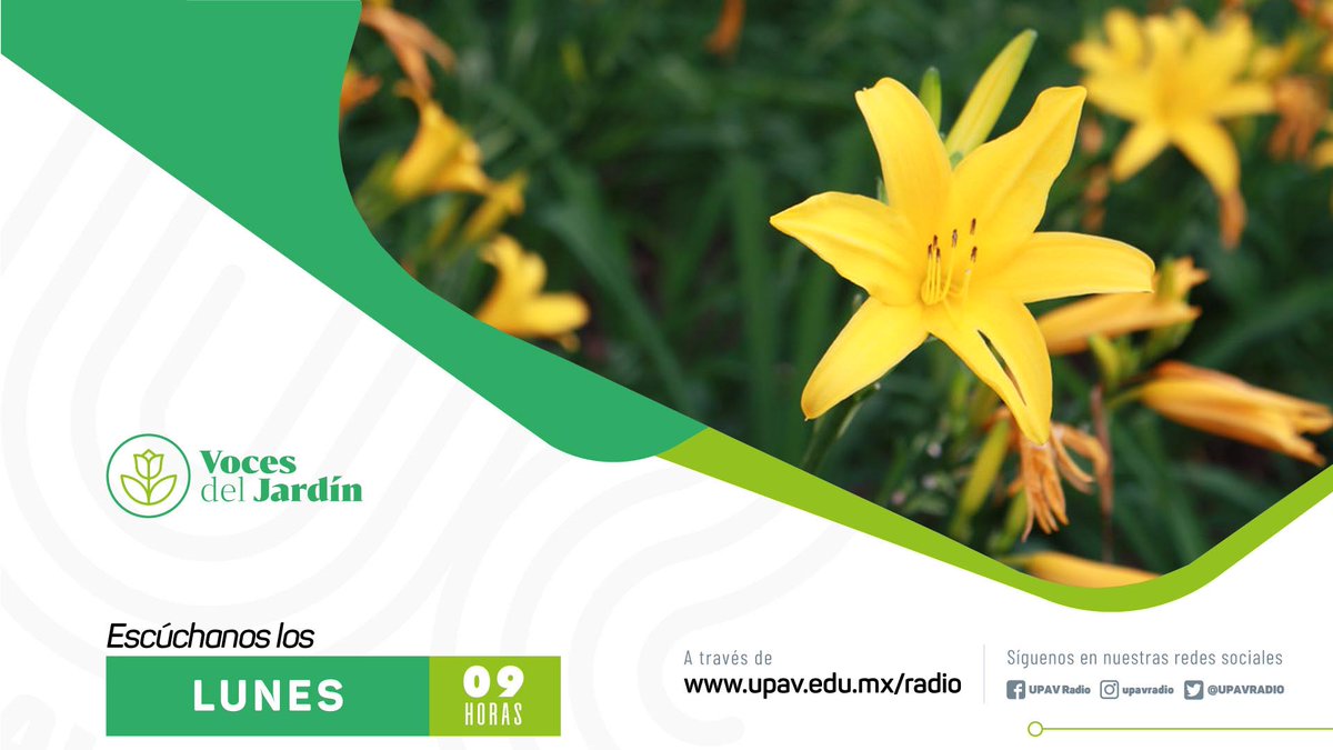 UPAVRADIO's tweet photo. Los lunes a las 9:00h⏰ tienes una cita con Voces del Jardín🌳 
📻Escúchanos también en https://t.co/aHimW7VLv8 🙌 https://t.co/260TkridqC