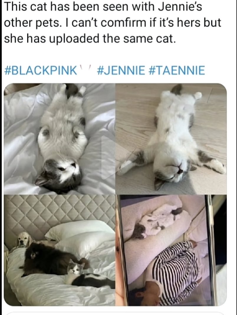 T4ENNIES's tweet photo. Y'all trying hard to deny that this man is not Taehyung. That's literally him lying on the couch at Jennie's mom house. And the cat was seen at her mom's house too with Jennie's other pets. Honestly the more y'all try to debunk these photos the more pictures will come out. https://t.co/dABUDpjSto