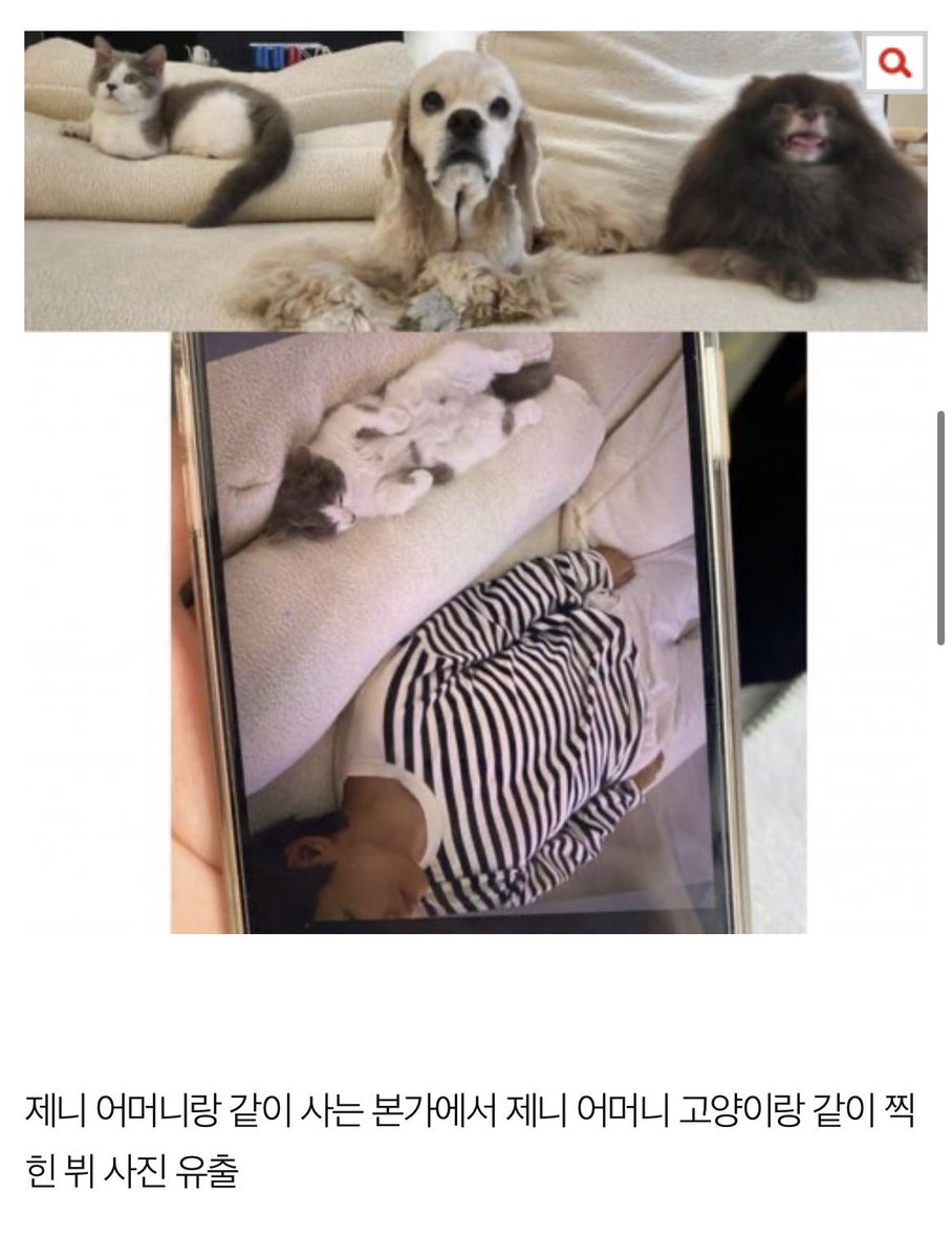 T4ENNIES's tweet photo. Y'all trying hard to deny that this man is not Taehyung. That's literally him lying on the couch at Jennie's mom house. And the cat was seen at her mom's house too with Jennie's other pets. Honestly the more y'all try to debunk these photos the more pictures will come out. https://t.co/dABUDpjSto