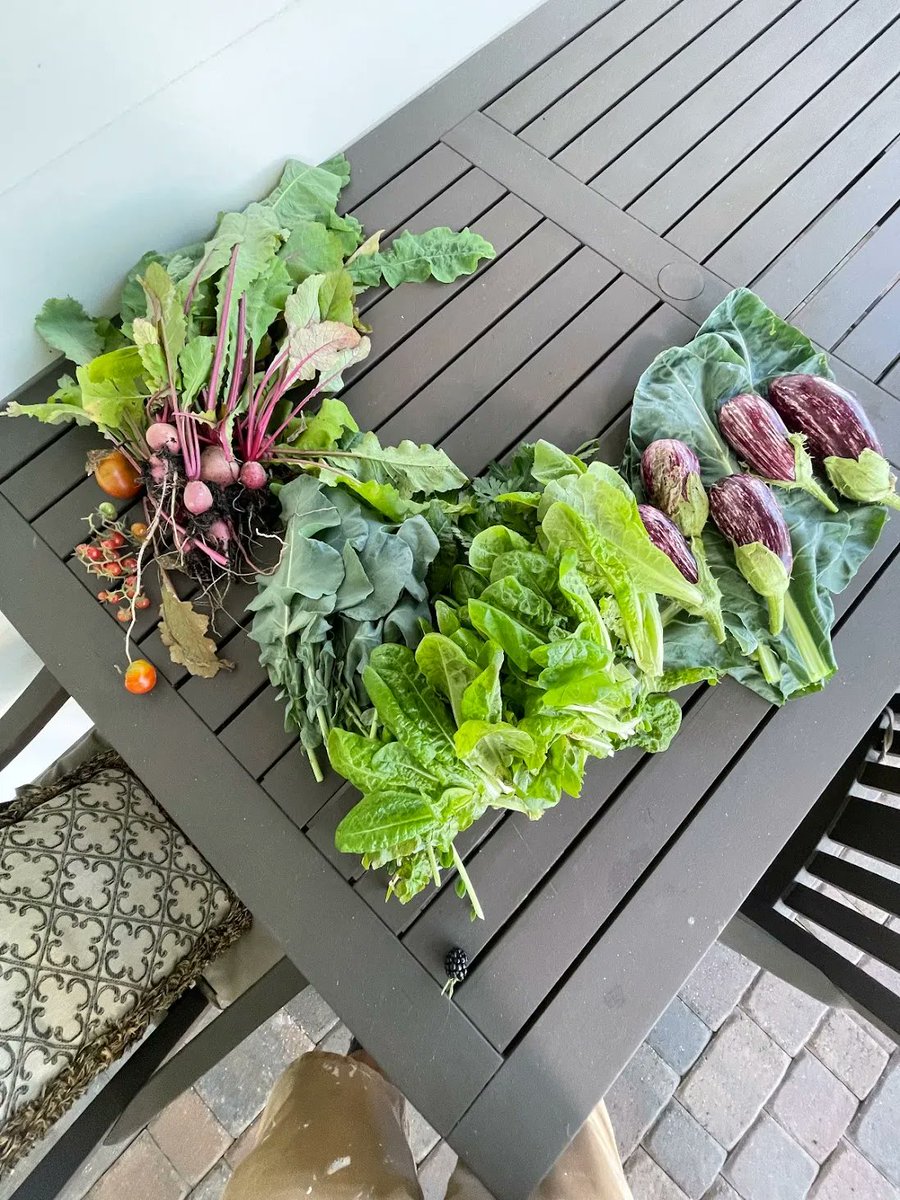 fleetfarming's tweet photo. What your #harvests could look like... π½π₯πΈ
One of the special things about choosing us as your #landscaping crew is that when you do, you support #nonprofit #gardenclasses, #schoolgardens & more #community lovin' stuff like that. πΏ https://t.co/cIT0Vu8SnC
#growfoodnotlawns https://t.co/5zIU9TM99O