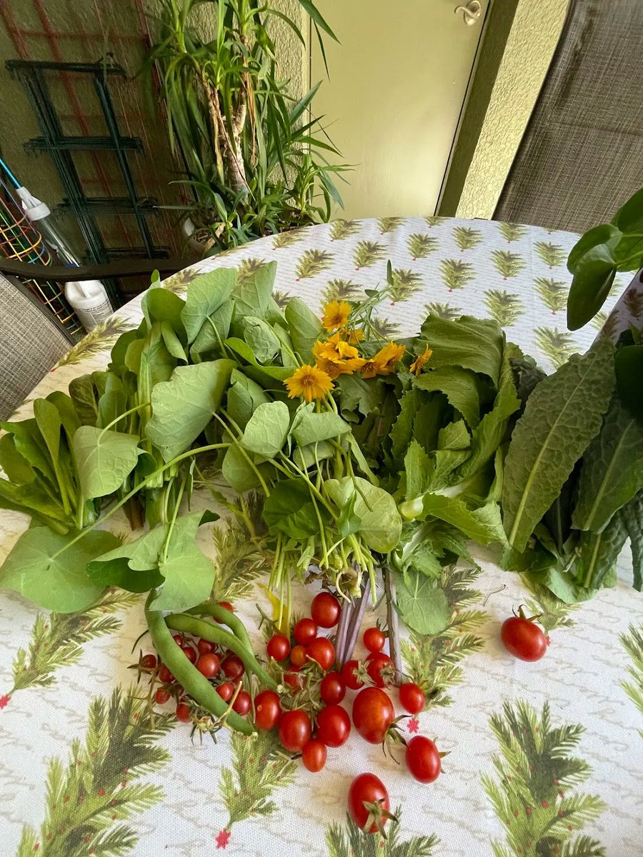 fleetfarming's tweet photo. What your #harvests could look like... π½π₯πΈ
One of the special things about choosing us as your #landscaping crew is that when you do, you support #nonprofit #gardenclasses, #schoolgardens & more #community lovin' stuff like that. πΏ https://t.co/cIT0Vu8SnC
#growfoodnotlawns https://t.co/5zIU9TM99O