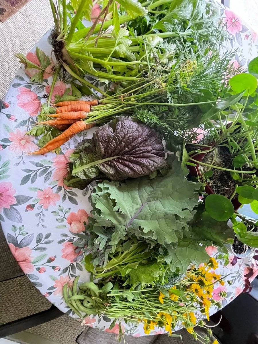 fleetfarming's tweet photo. What your #harvests could look like... π½π₯πΈ
One of the special things about choosing us as your #landscaping crew is that when you do, you support #nonprofit #gardenclasses, #schoolgardens & more #community lovin' stuff like that. πΏ https://t.co/cIT0Vu8SnC
#growfoodnotlawns https://t.co/5zIU9TM99O