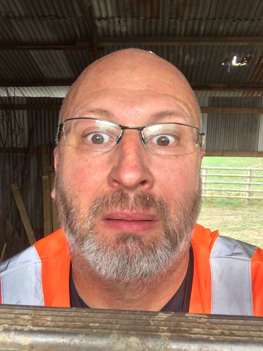 thehenhousefarm's tweet photo. #thehenhousefarm #newbuild #avianfluready #cleanliness #windowclean #Devon #Cornwall #Tavistock #Berepeninsular #hens Today it seems I will be mainly cleaning windowsโฆ.just 30ft up gently reminding the spiders we can live happily side by side ๐๐๐ท๐ธ https://t.co/Ug4czUnCdg