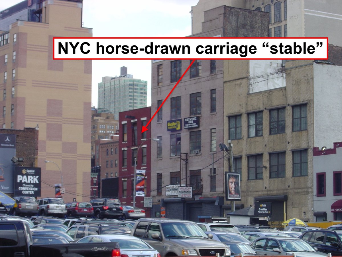 theirturn's tweet photo. The horses who are forced to pull carriages are stored in multi-story garages at night. No escape in the event of a fire. No pasture for grazing or interacting physically, as herd animals do. Stripped of everything. @NYCSpeakerAdams @TwuSamuelsen @nytopinion -  The time has come. https://t.co/FUXuMp7DN5