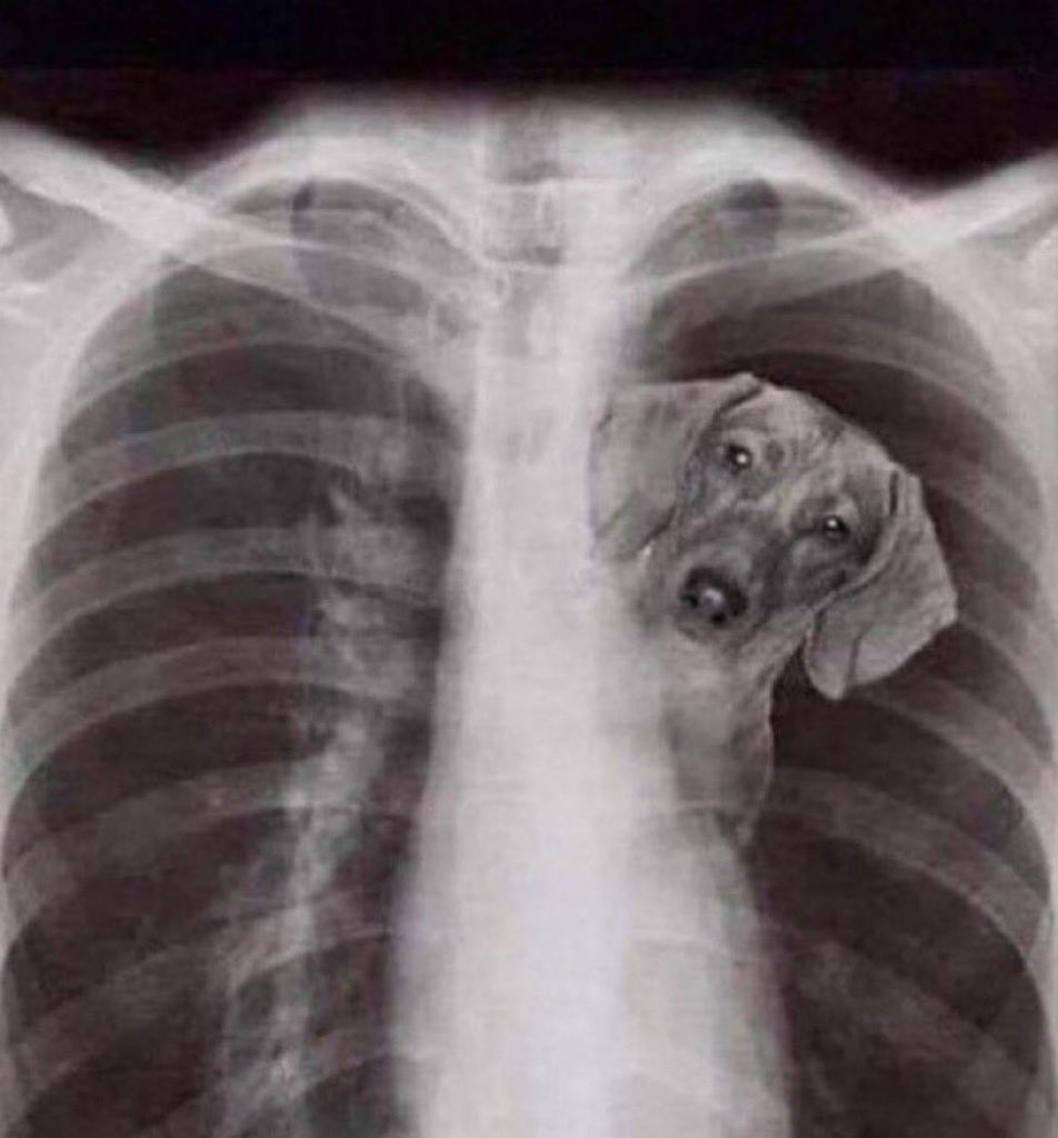 Spinks🧔🏻 tweet media