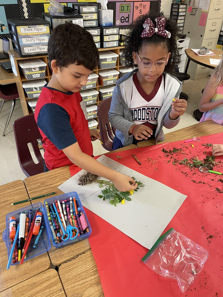 Heidi Sansone tweet media