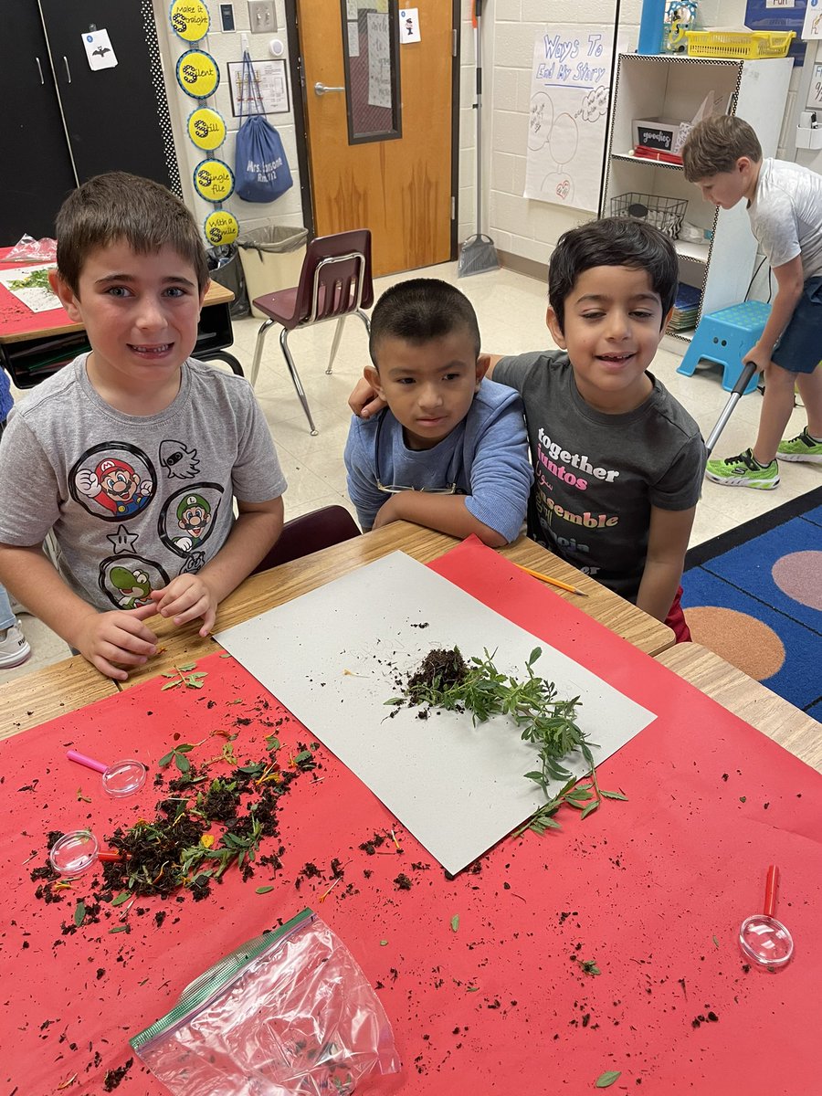 Heidi Sansone tweet media