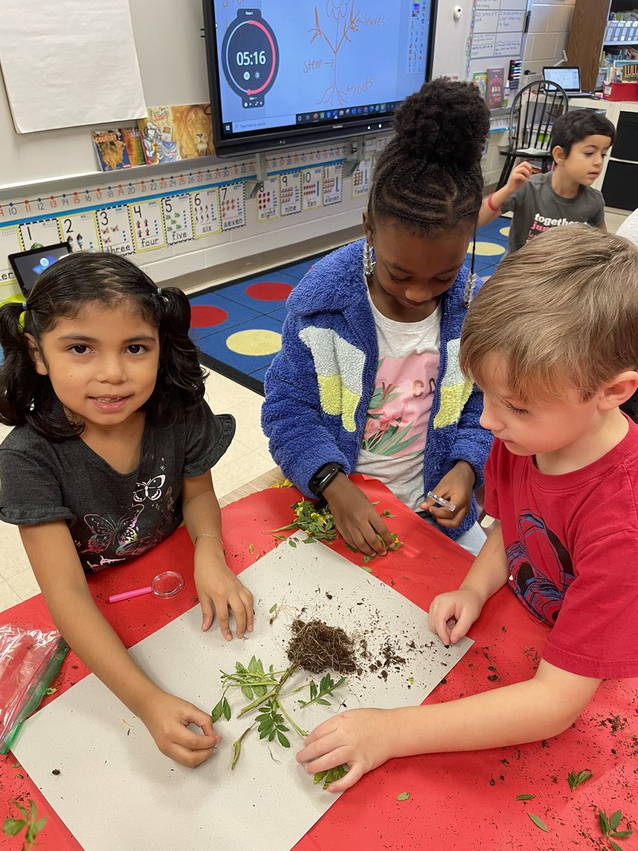 Heidi Sansone tweet media