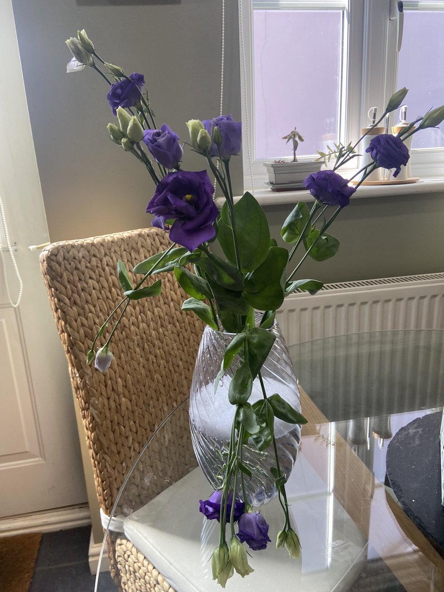 Michell52167003's tweet photo. @sainsburys rubbish flowers on my delivery again https://t.co/DxV83pUMao