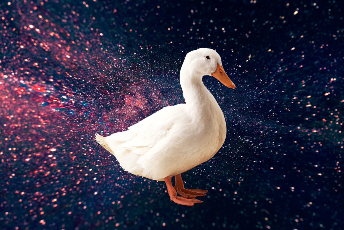 Albert14NFT's tweet photo. Duck but in a splash of #Color

#NFTs #NFTCommunity https://t.co/MFNwy0QPFu
