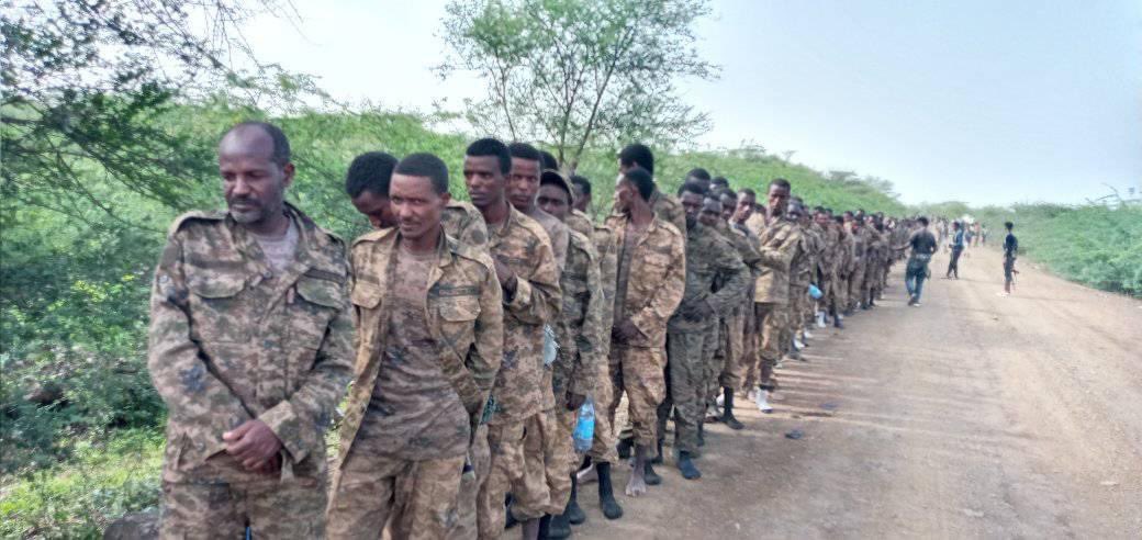 JUNTA_1_'s tweet photo. BREAKING: #Tigray Defense Forces have captured numerous Ethiopian prisoners of war. This comes after #Ethiopia|n and Eritrean forces, on Thursday, launched a massive "joint" offensive against areas of Tigray bordering #Eritrea. https://t.co/fkkjxbtun5