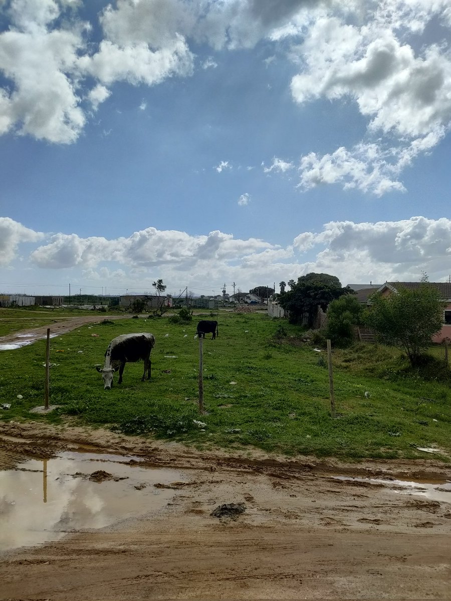 Zay_017's tweet photo. @MohsinDotDot Not exactly sky only, but I love the clouds. https://t.co/DQqau9y4LN