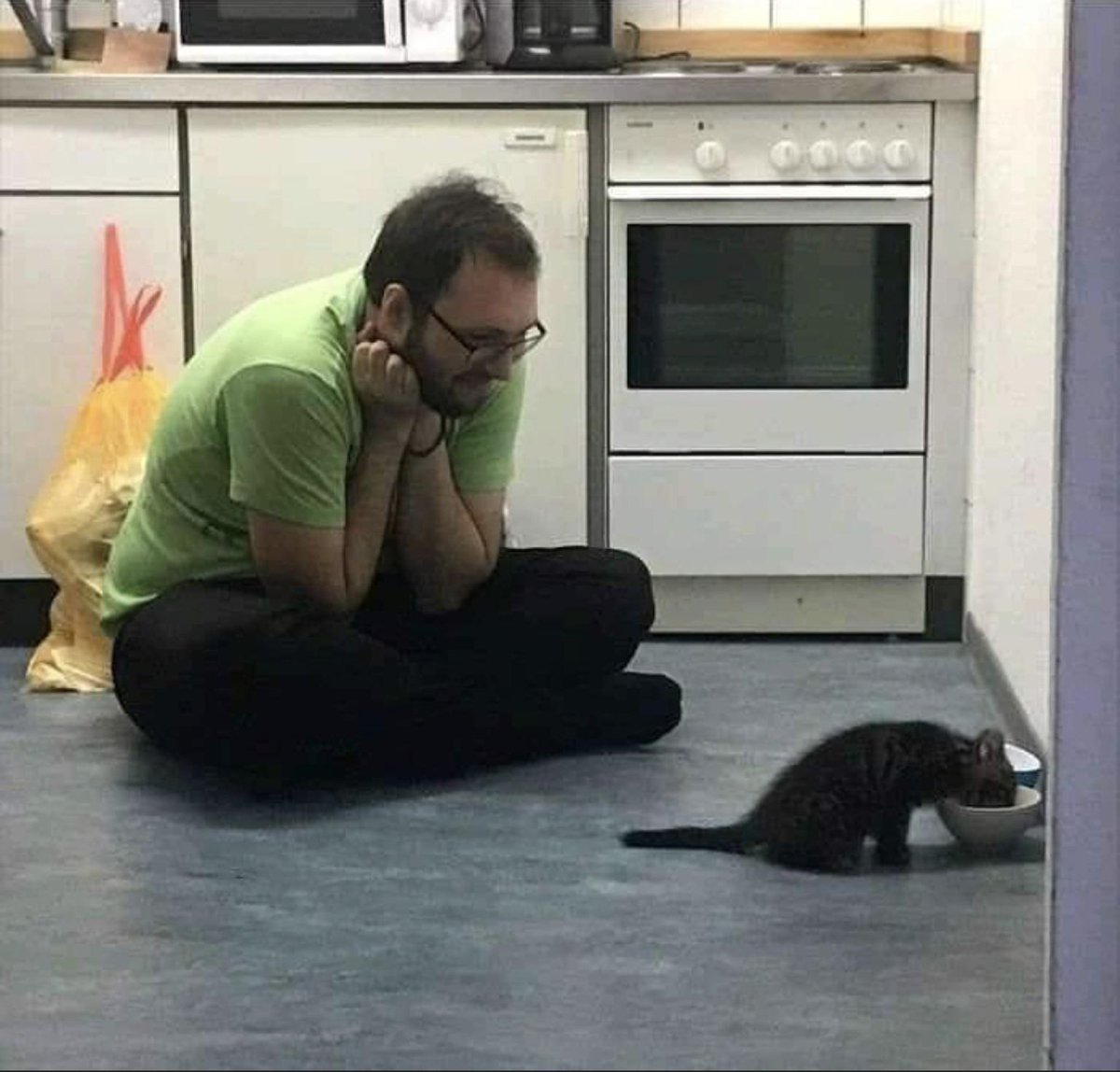 DontShowYourCat's tweet image. 