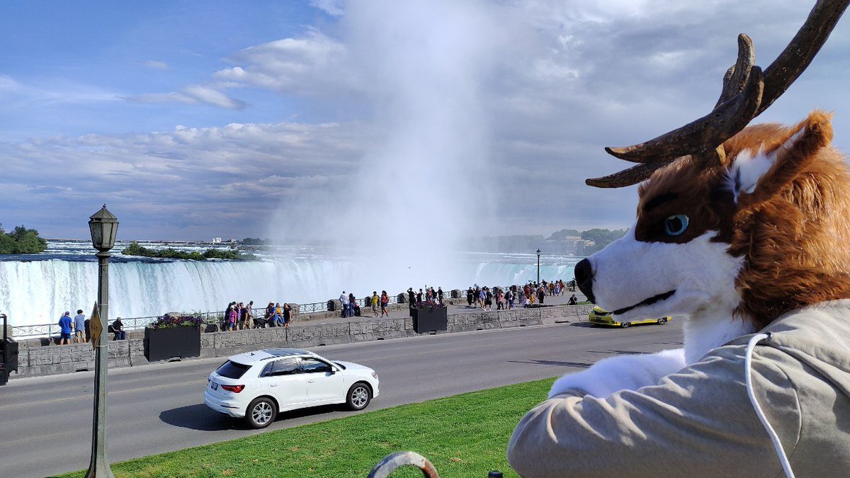 A much needed refreshment these days #FursuitFriday 
By <a href="/sordeo/">Sordeo Black</a>