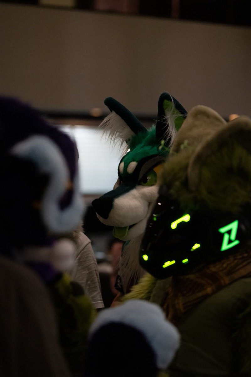 They’re behind me… arnt they…

📸 <a href="/Breakie101/">Breakie on BSky</a> 
✨ #FursuitFriday