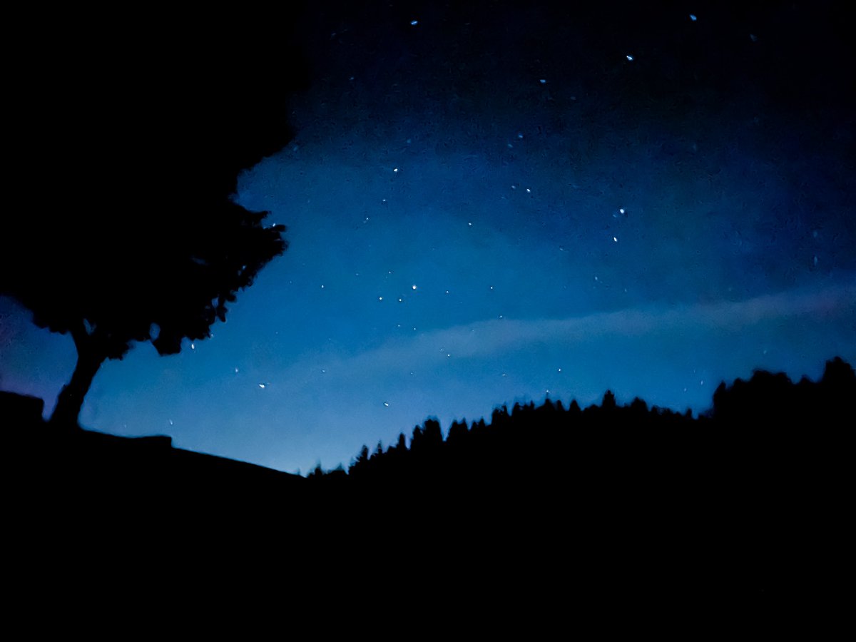 B Company - Dyfed & Glamorgan ACF tweet media