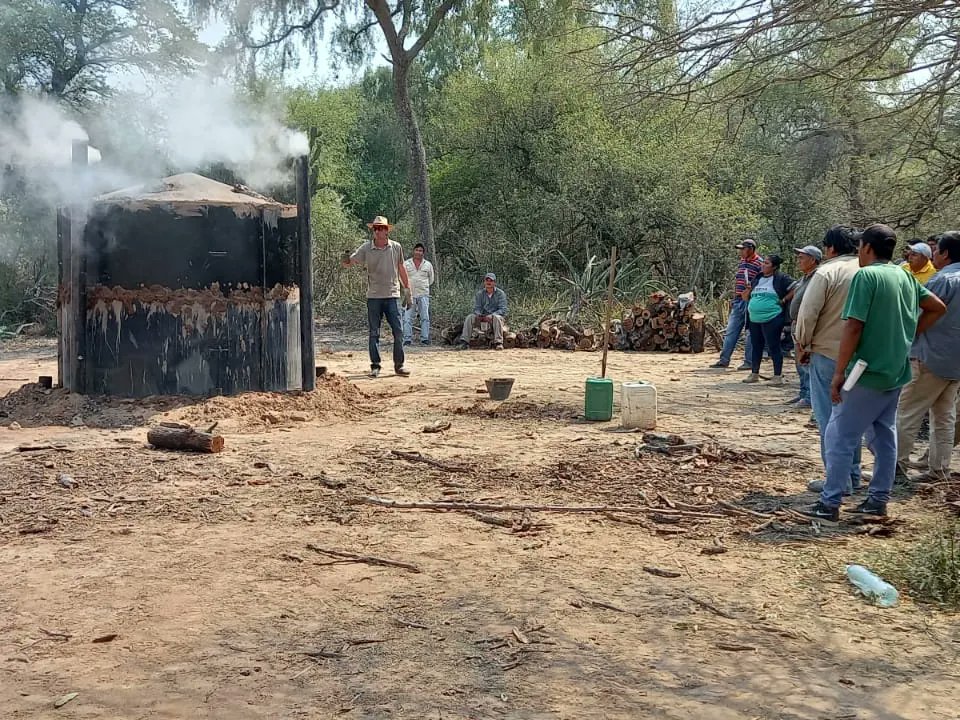 Dirección de Bosques tweet media