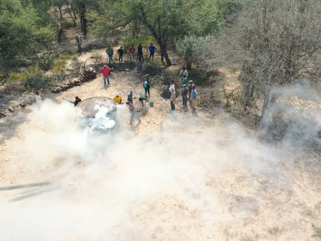 Dirección de Bosques tweet media