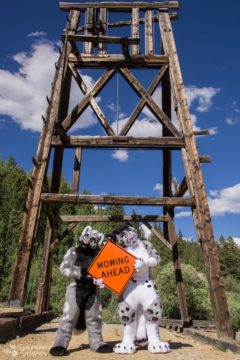 snepshots's tweet photo. First #FursuitFriday in #Sneptember... 

So have @OKDoogl and @new_einstein (=myself) in Colorado a few years back. Be warned, there might be some mowing happening this month!

🧵 @b3mascots + @TemplaCreations
📸 @snepshots https://t.co/pdL9ZX320P