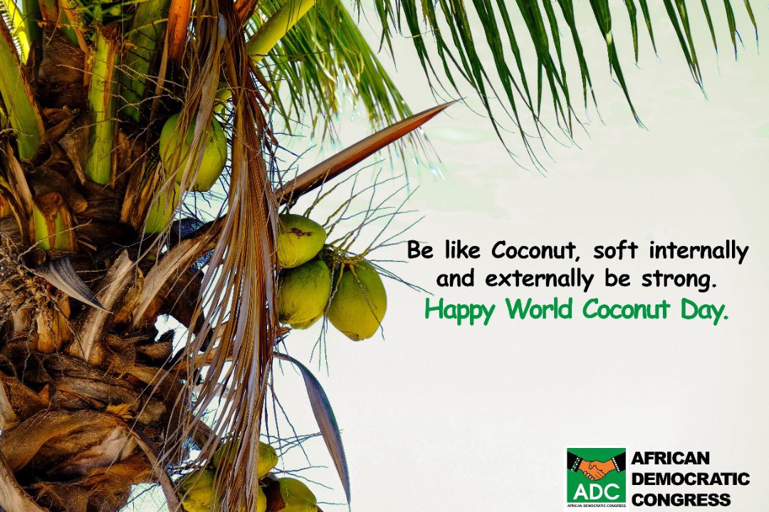 ADCNig's tweet image. As we celebrate the world coconut day, #ADC celebrates with the people known to be the coconut head in Nigeria, those who will always wait till the deadline of every occasion, just to bring about a situation. 

#ADCFied 
#Rescuemission 
#DeadlineDay 
#PhyNation