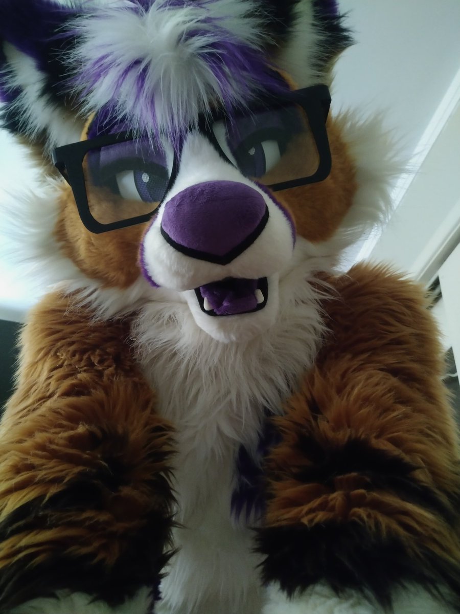 MakiFoxCat's tweet photo. Best kind of wakeup service @Epsole_The_Folf https://t.co/XrJdEjLMlS