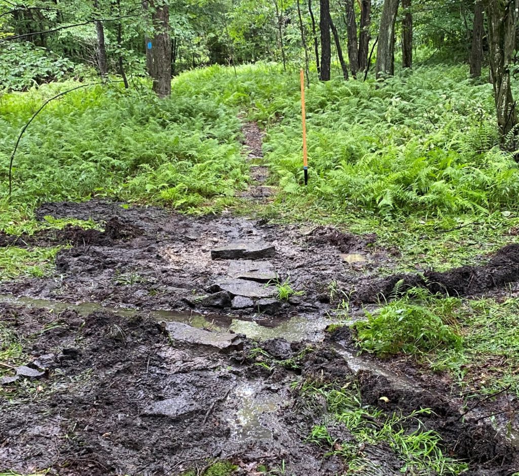 Your Daily Local on Twitter "YOUNGSVILLE, Pa. The Bureau of Forestry and the Warren County