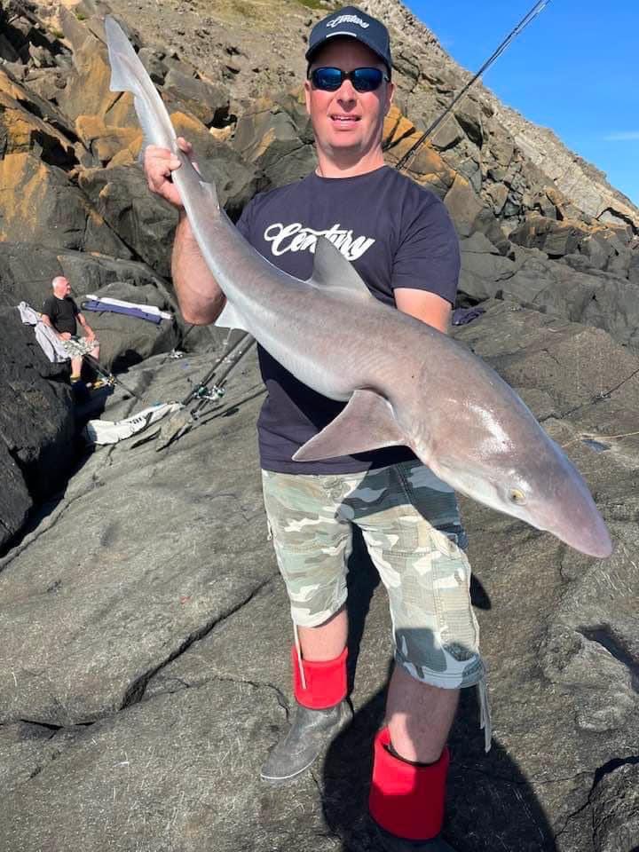 garypyeuk's tweet photo. Cracking trip over to north wales 🏴󠁧󠁢󠁷󠁬󠁳󠁿 over the bank holiday weekend landed a canny few tope and lost around the same !!!! Weather was beautiful to hot at times plenty Huss pollack mackerel and any amount of garfish  🎣🦈🦈🦈🦈💪
Century Sea Fishing #EliminatorT1000 #graphexlure https://t.co/joedkfdcxq