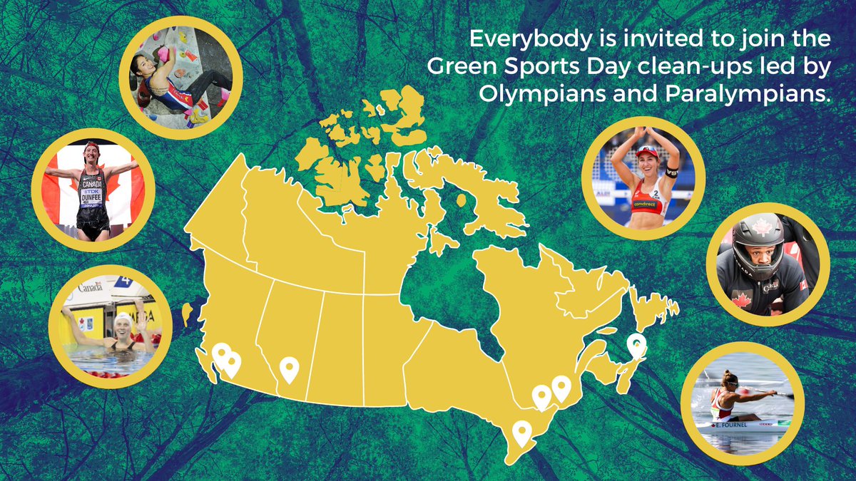 Madeleine Orr tweet media