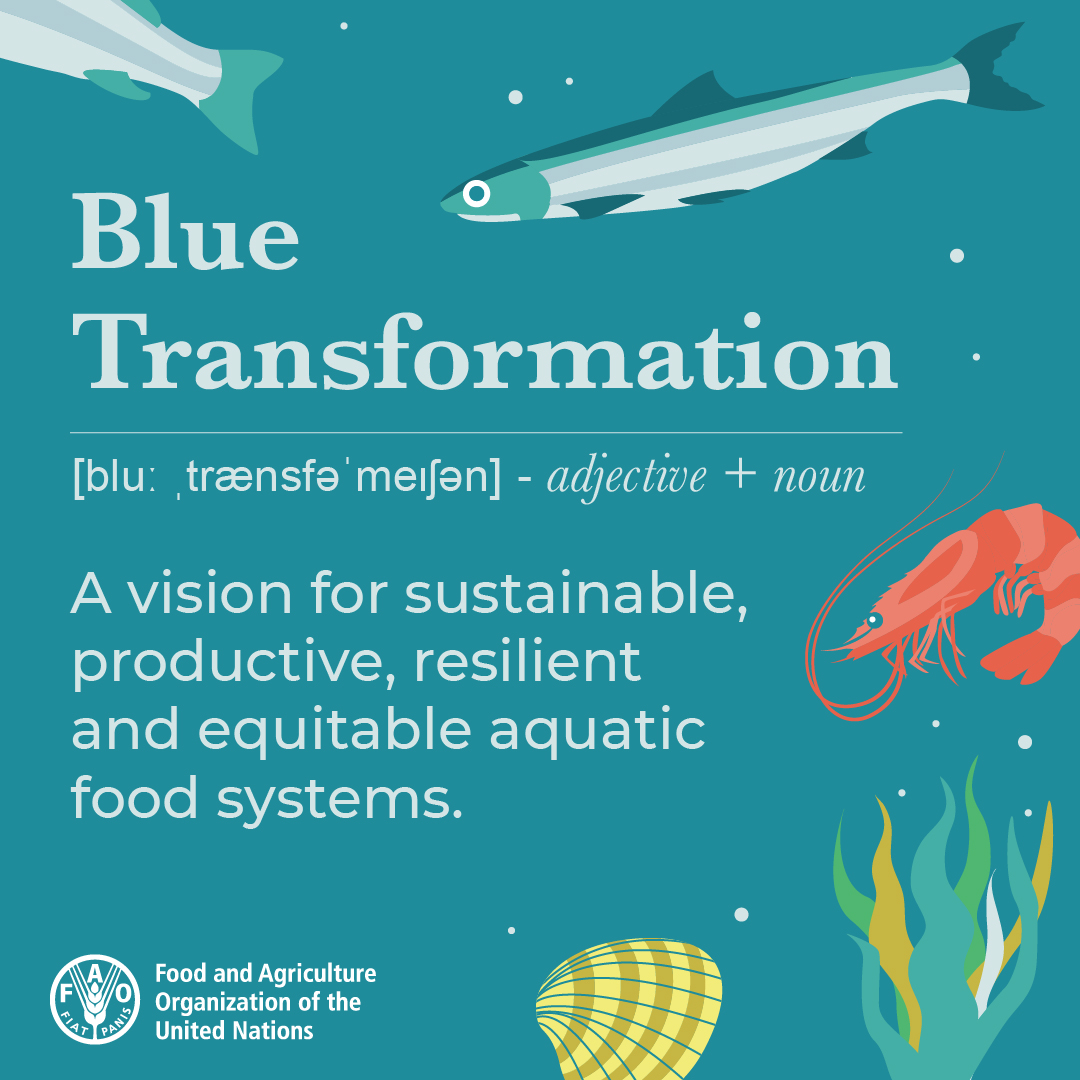 Ahead of #COFI35 (5-9 September), what better time to review this <a href="/FAO/">Food and Agriculture Organization</a> flagship publication, now available in all six 🇺🇳 languages!

'The State of World #Fisheries &amp; #Aquaculture 2022 – Towards #BlueTransformation'

📚 bit.ly/3wQo92o

More ℹ️ ->  bit.ly/3qbCLFy