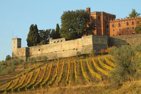 TeslaSpotlight0's tweet photo. Toscana: la storia del vino in uno dei cuori pulsanti della produzione d'eccellenza italiana
https://t.co/xHbz0m9J2H
#yeb #hellotaste #vino #wine #enologi #sommelier #turismo #toscana #enogastronomia #vitigni #viticoltura #vigneti #vendemmia #chianti #montalcino https://t.co/XSamaw3Kc9