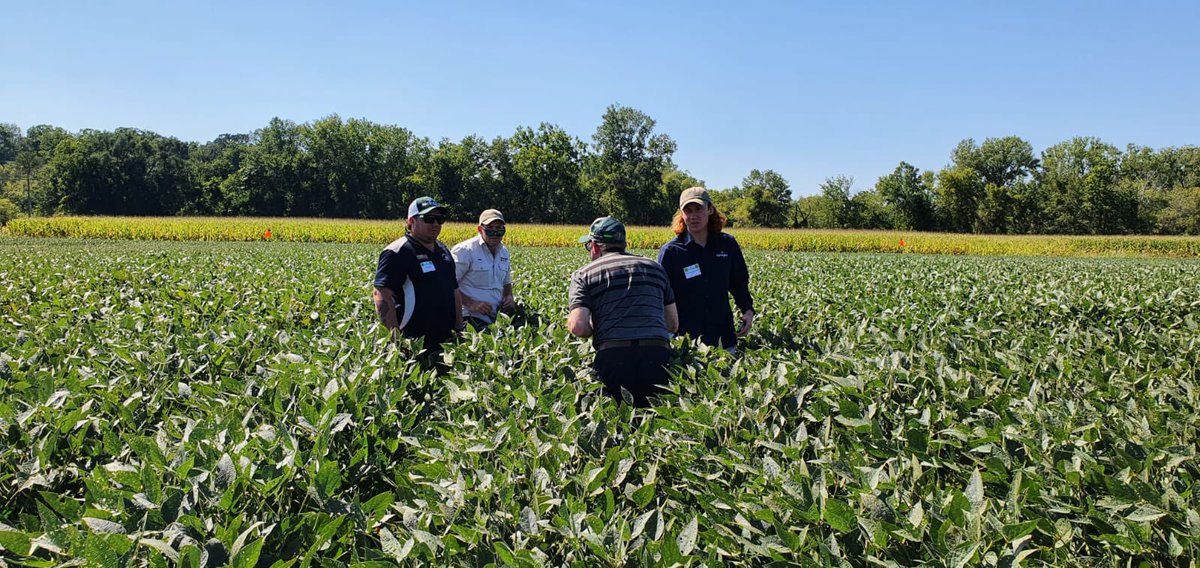 Nigel Routledge tweet media