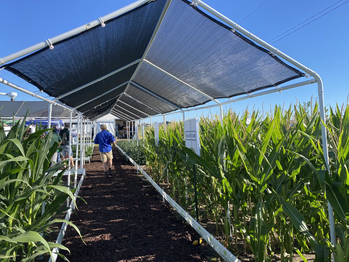 Nigel Routledge (@nigelroutledge) on Twitter photo Fantastic time spent in Iowa with <a href="/spraytec_aus/">Spraytec Australia</a> looking at corn and soybean production throughout the mid-west USA ๐ฝ Awesome day at the <a href="/FPShow/">Farm Progress Show</a> in Boone as well, the buggy got a fair workout with 10 Australianโs hanging off it ๐ฆ๐ท๐ฆ๐บ๐บ๐ธ Fantastic time spent in Iowa with <a href="/spraytec_aus/">Spraytec Australia</a> looking at corn and soybean production throughout the mid-west USA ๐ฝ Awesome day at the <a href="/FPShow/">Farm Progress Show</a> in Boone as well, the buggy got a fair workout with 10 Australianโs hanging off it ๐ฆ๐ท๐ฆ๐บ๐บ๐ธ
