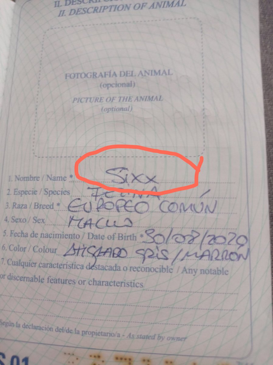 😉 <a href="/NikkiSixx/">📷</a>