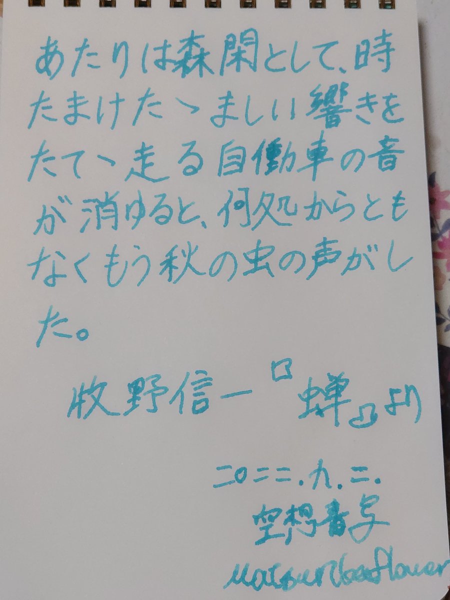 Matsurikaflower's tweet photo. 今日のお題と使用インク!
足はまだ痛いけど、帰ってきたばかりの頃と比べれば少しマシになりました(´,,-ㅿ-,,`)完治できるようマッサージを念入りにやりたいと思いますԅ( ˘ω˘ԅ)
#空想書写
#インク沼
#尚貴堂
#ClearOcean
#ヴェネツィア https://t.co/fpLXg2l6c7