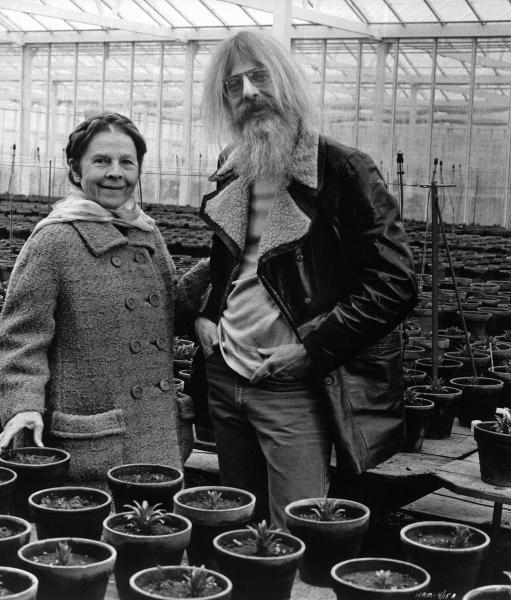 ParkCircusFilms's tweet photo. The great Hal Ashby would have been 94 today, which gives us us an excuse to reshare this gem of a photo from the making of HAROLD AND MAUDE. 🪴💛 

Who caught the stunning new 4K restoration on the big screen at this year's @CineRedis? https://t.co/LaK5dDBKL8