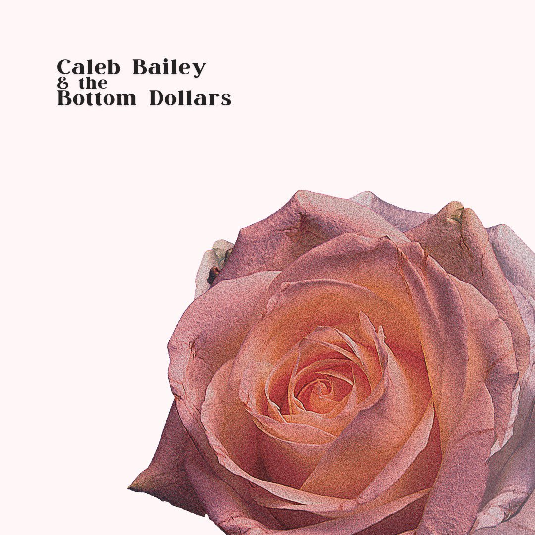 cbbottomdollars's tweet photo. “The Florist” is now streaming https://t.co/jxjEb7PBgg