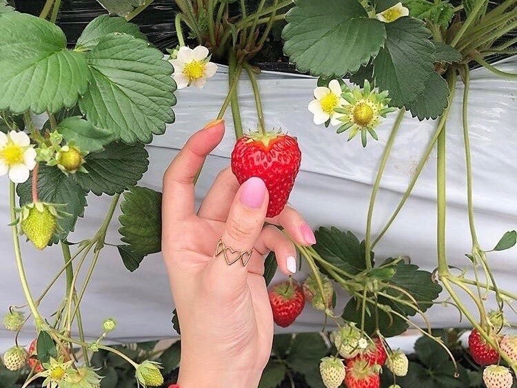 overclockingit's tweet image. 