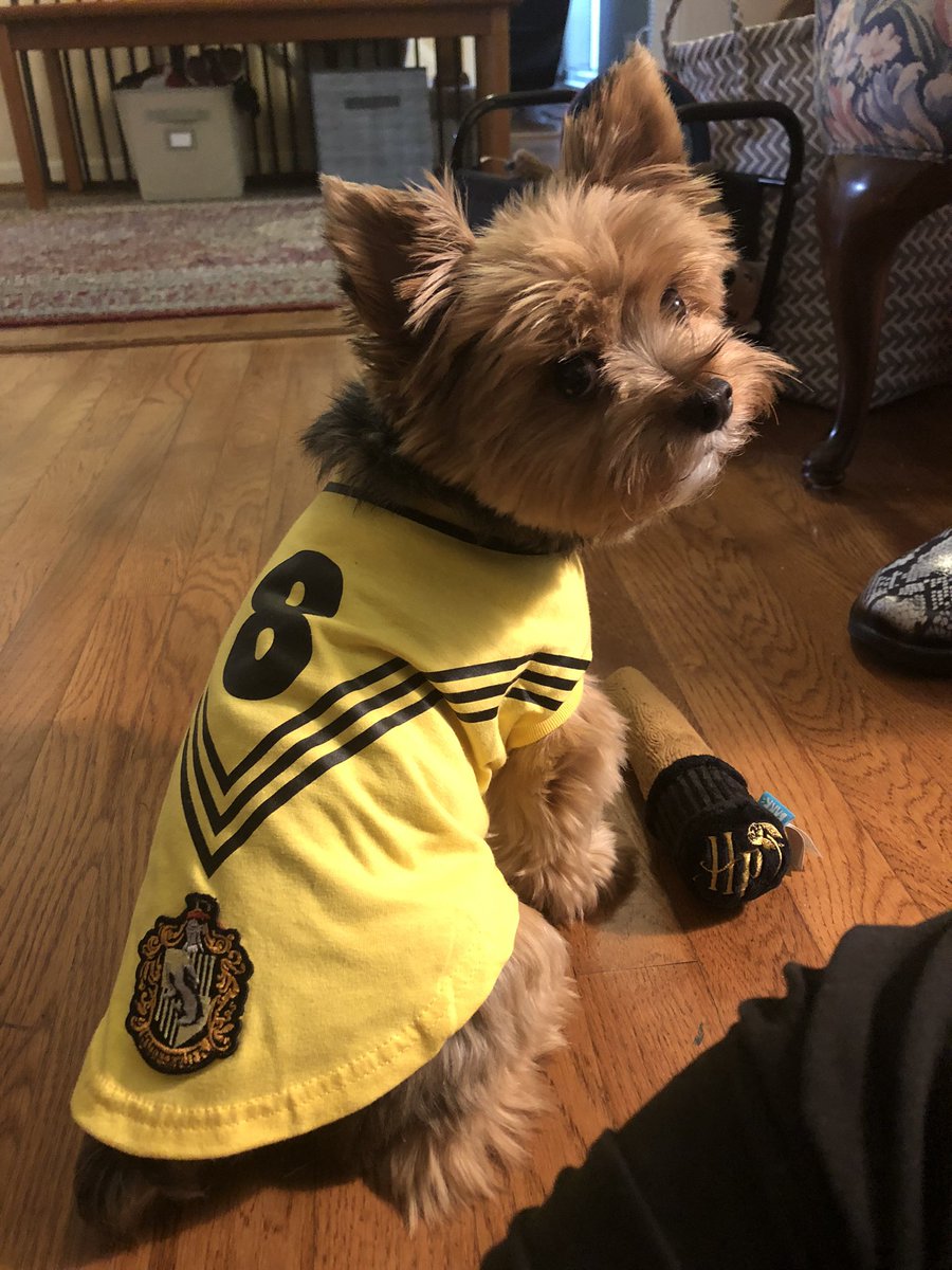 LacrosseBailey's tweet photo. Hufflepuff for life! https://t.co/gaQ2hLgG3e