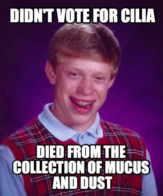 ICUPcampaign's tweet photo. #dontletithappentoyou Make the right choice and believe in ICUP. #IndependentCiliaforPresident #wesupport #weprotect #MHSOrganelleVote2022 https://t.co/4GZRzhUQq6