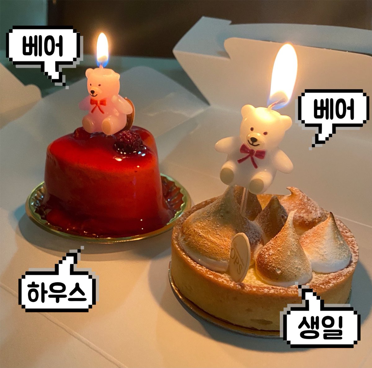 비나 tweet media