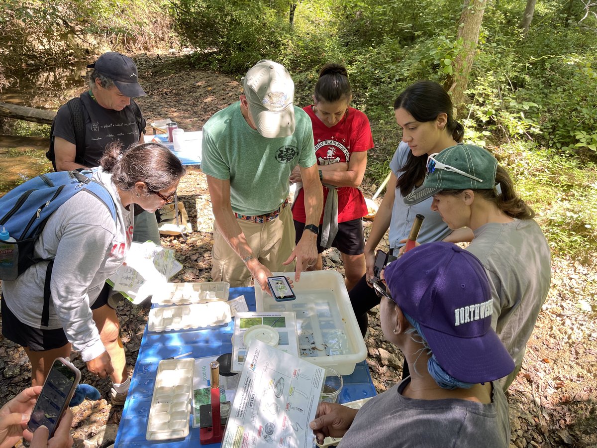 GreenKidsANS's tweet photo. Last month, we joined @MCPSOutdoors for a stream study training to get ready for water quality testing and macroinvertebrate sampling with students this school year! @Learn_NaturaLee @Amc4Antonio https://t.co/ShtJHhVCEj
