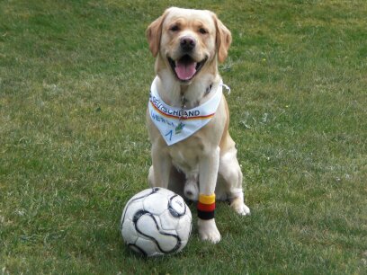 Beteiligung würden wir uns sehr freuen.
⭐️25.04.2008
🌈05.09.2021
#MerlinsRegenbogenjahrestag